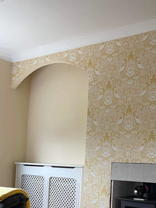 Painter and Decorator Aberdeen-04